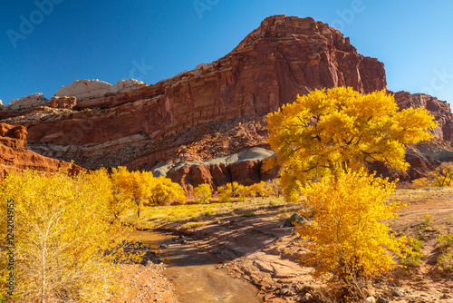 USA, Utah, Capitol Reef National Park. The Castle rock formation and trees in autumn yellow. photo