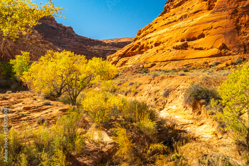 USA, Utah, Glen Canyon National Recreation Area. Rocky cliff with trees in fall color. photo