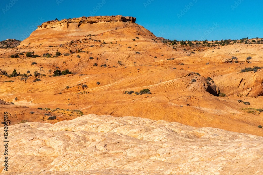 USA, Utah, Grand Staircase Escalante National Monument. Rocky landscape with eroded formations. USA, Utah, Grand Staircase Escalante National Monument. Rocky landscape with eroded formations.