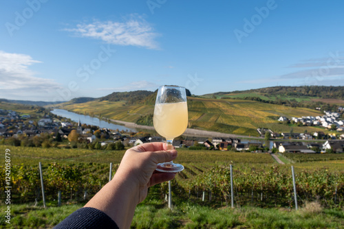 Autumn wine festival in Germany on Moselle river valley, tasting of federweisser young wine, neuer wein fermented freshly pessed auxerrois grape juice, or must. View on terraced vineyards. photo