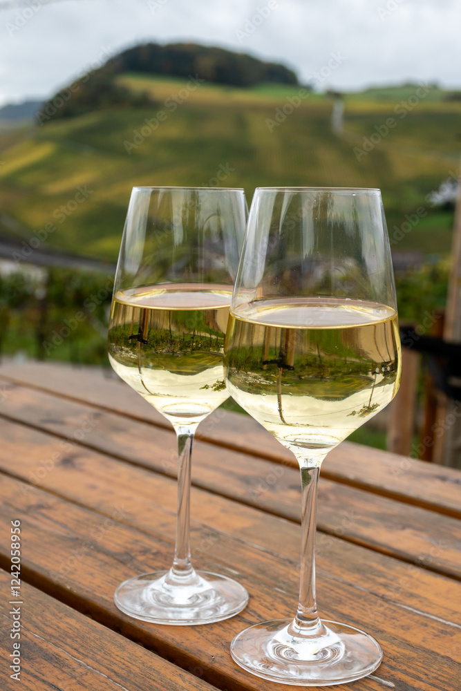 Glasses of white dry riesling wine made on Moselle river valley in Germany or Luxembourg, view on terraced vineyards Glasses of white dry riesling wine made on Moselle river valley in Germany or Luxembourg, view on terraced vineyards