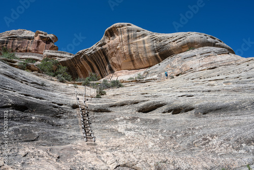 USA, Utah. Ladder on trail from Sipapu Bridge, Natural Bridges National Monument photo