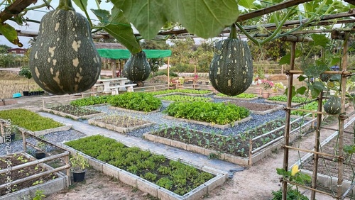 Nature encompasses all living and non-living things in the environment, including plants, animals, landscapes, and natural phenomena. It is a vast, interconnected system that sustains life on Earth, p