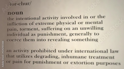 Torture Definition