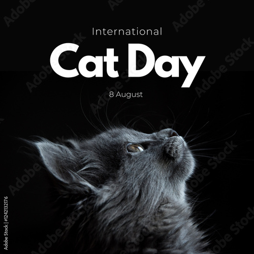 black and white cat on cat day