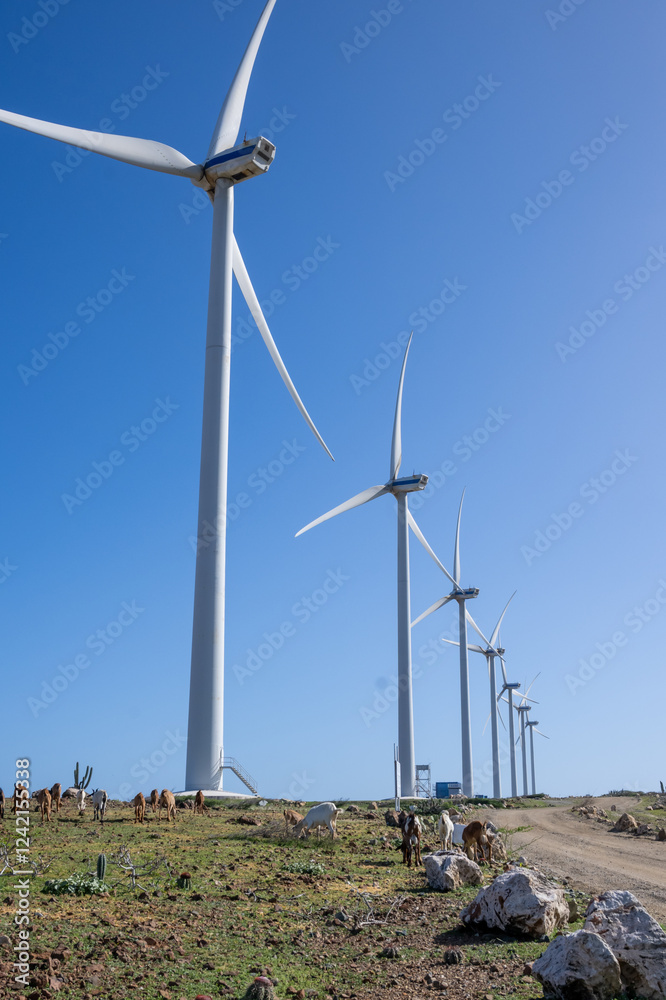 custom made wallpaper toronto digitalTowering white wind turbines line a rugged dirt road on a clear day, set against a bright blue sky. Sparse greenery and rocky terrain emphasize the renewable energy theme in this open landscape.