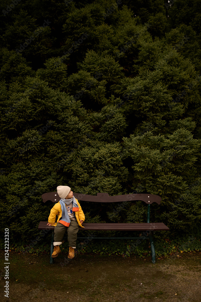little boy sitting on a bench in nature little boy sitting on a bench in nature