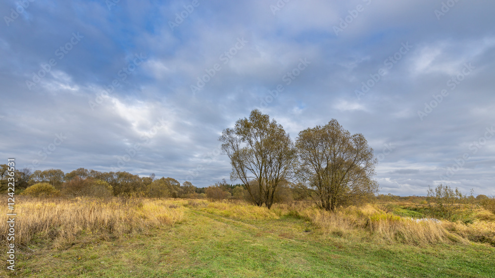 A field with two trees in the foreground and a cloudy sky in the background A field with two trees in the foreground and a cloudy sky in the background