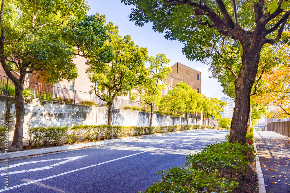 Obraz premium 神戸の街角