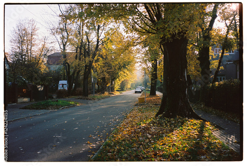 Kaliningrad city street at autumn time.
 photo