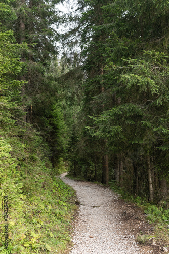 path in nature at lake carezza in dolomites
