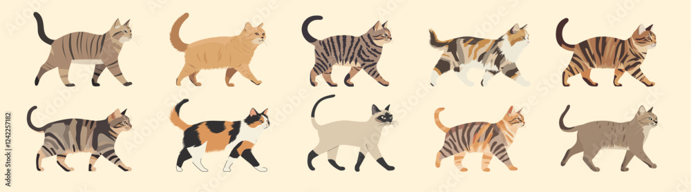Diverse cat walking gracefully isolated illustration, vector set Diverse cat walking gracefully isolated illustration, vector set
