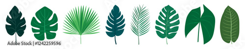 Tropical leaves vector illustration, isolated vector set