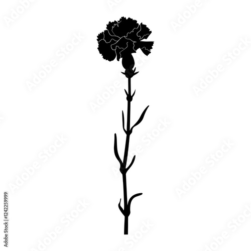 Carnation flower silhouette carnation art vector