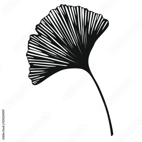 Ginkgo Leaf silhouette leaf art vector