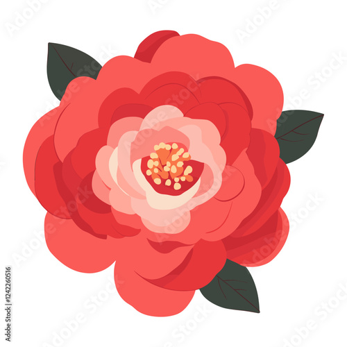 China rose illustration vibrant flower vector