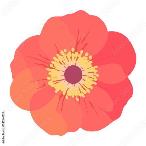 Poppy illustration vibrant flower vector