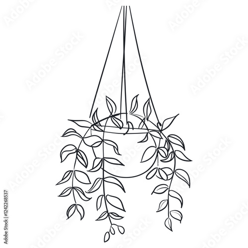 Hanging plant illustration sketch leaves vector