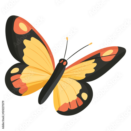 Butterfly illustration insect art vector