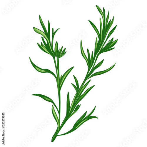 Leaves herbs leaf illustration vector