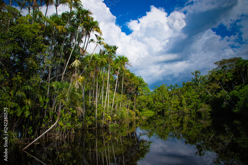 Clear Rio Arapiuns river with the lush Amazon forest backdrop, Santarém.