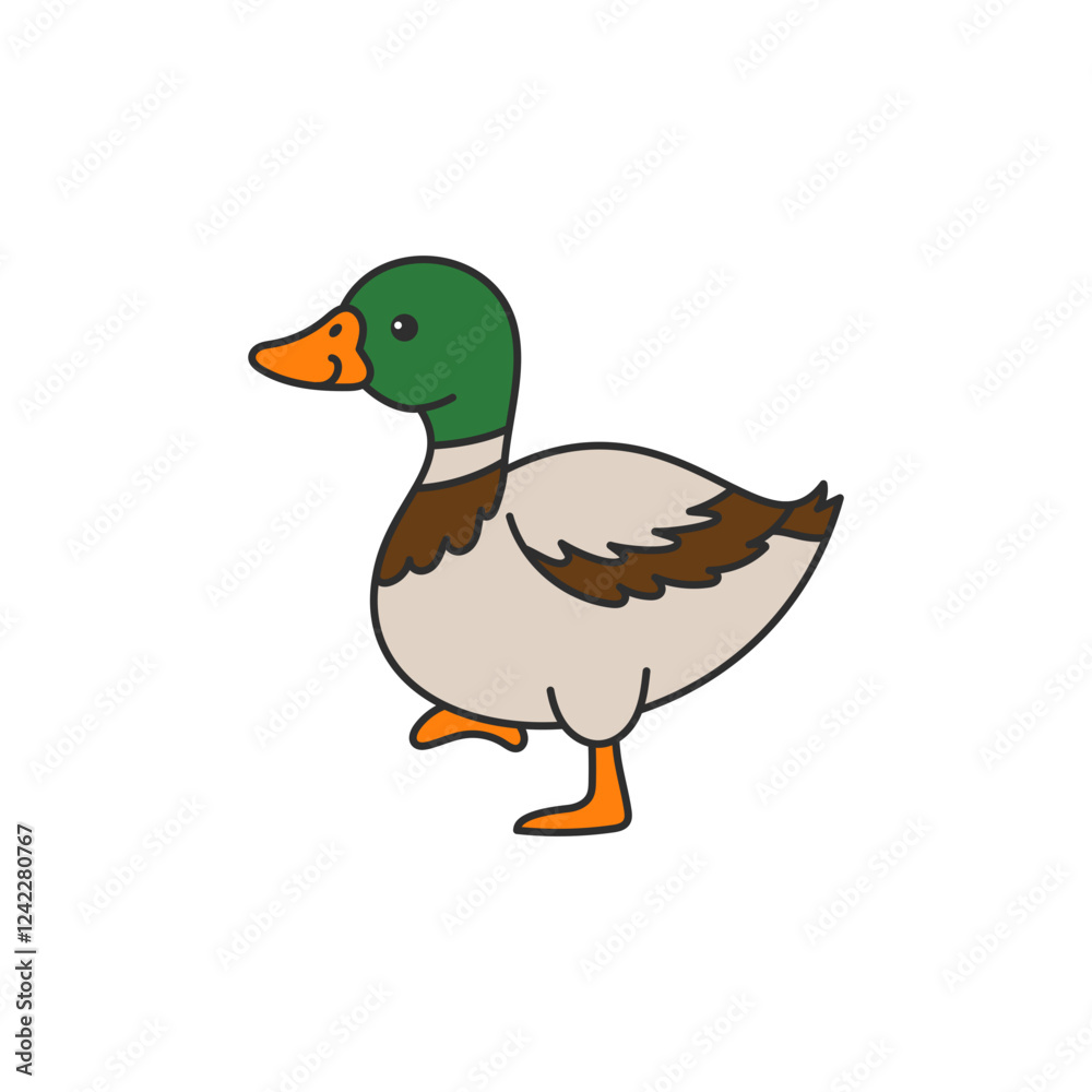 Obraz premium mallard duck illustration