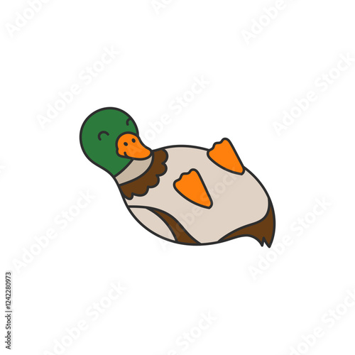 mallard duck illustration