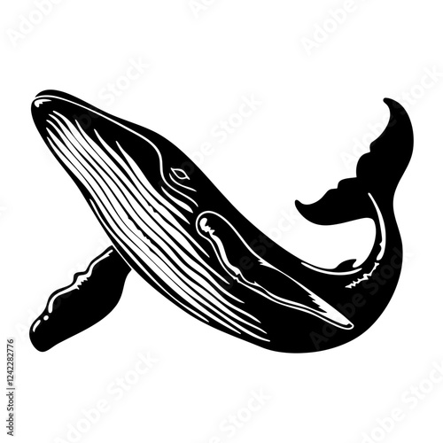 Whale illustration animal black vector
