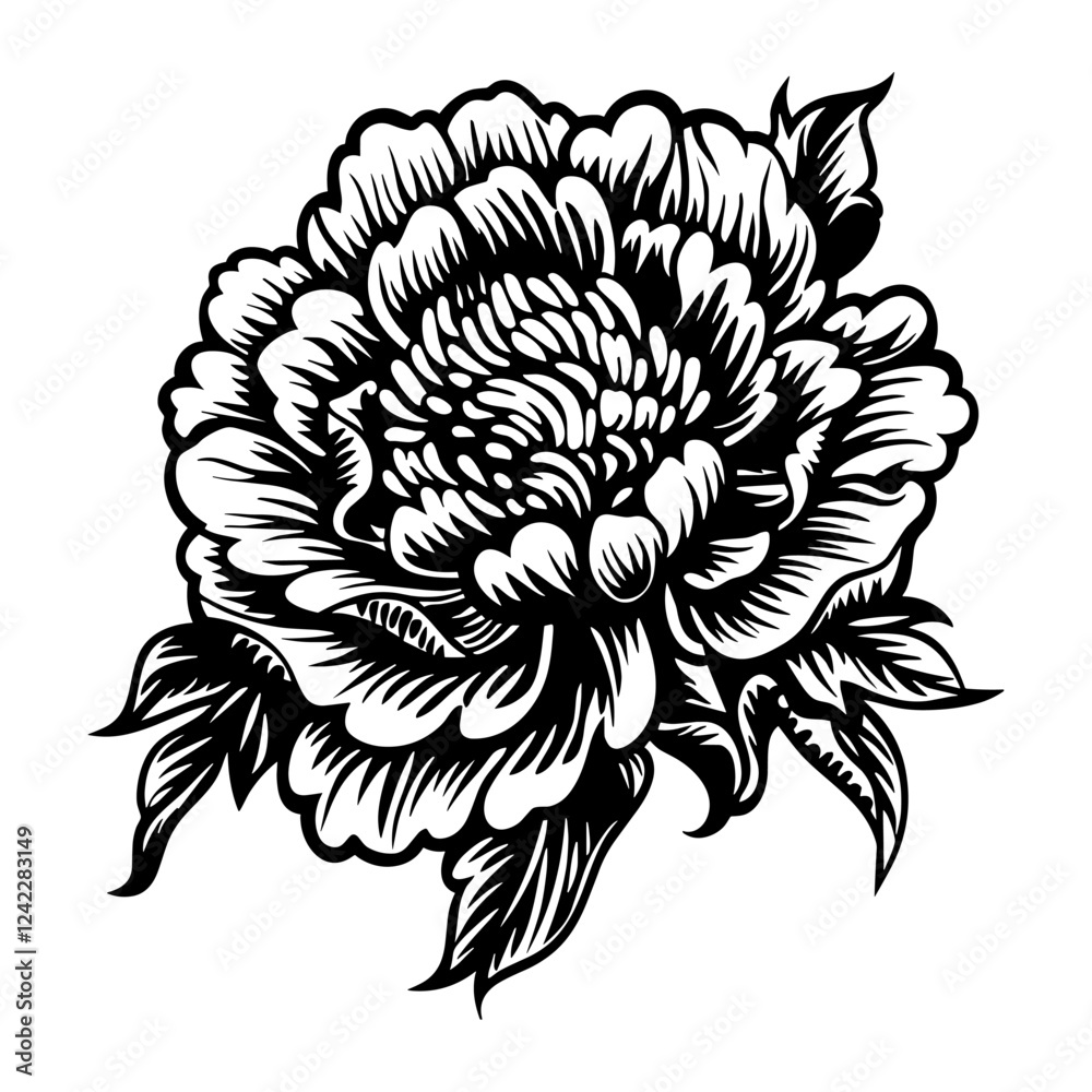 A peony illustration drawing flower vector A peony illustration drawing flower vector