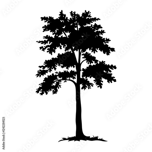 Mulberry tree silhouette illustration black vector