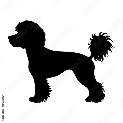 Poodle dog silhouette poodle illustration vector
