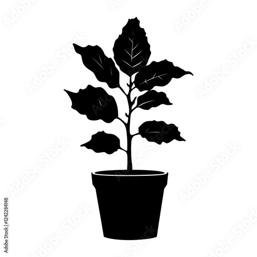 Fiddle leaf fig silhouette illustration potted vector