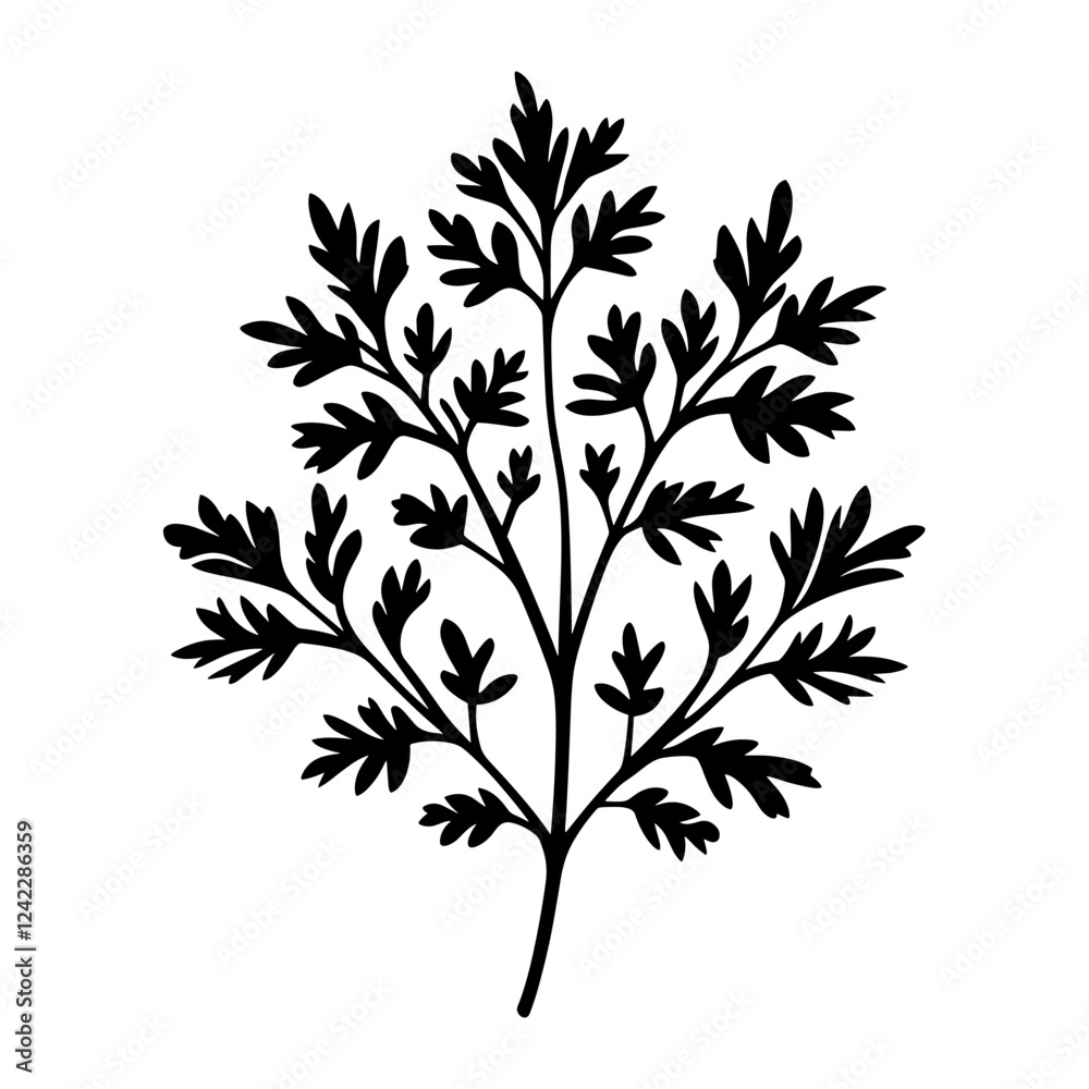 Naklejka premium Simple parsley linear art illustration graphics vector