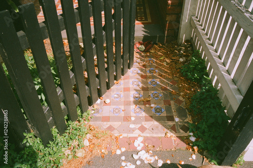 Tilled walkway adorned with petals, shot on film photo