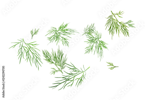 Fresh green dill in air on white background