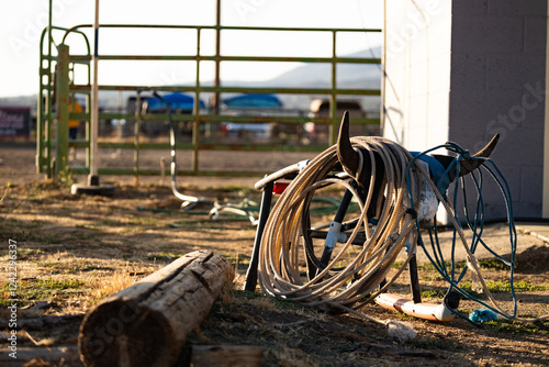 Horse Lasso Practice  photo