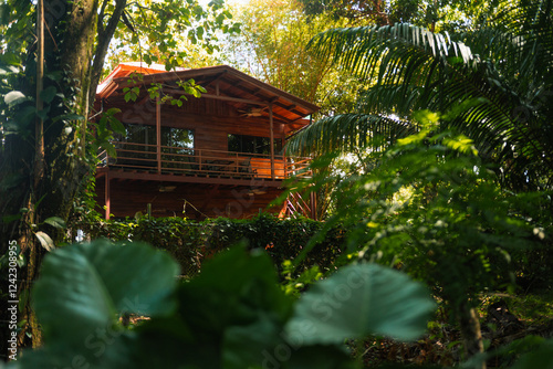 Cabin in the middle of the forest photo