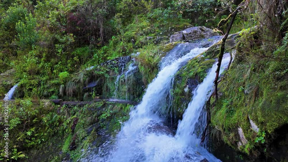 Small Waterfall on PR10 Levada do Furado Trail, Madeira Island, Portugal Small Waterfall on PR10 Levada do Furado Trail, Madeira Island, Portugal