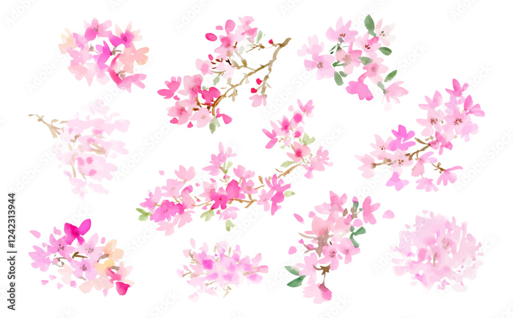 A set of abstract vector cherry blossoms painted in watercolor with a transparent background. A hand-painted cherry blossom clipart set. A set of abstract vector cherry blossoms painted in watercolor with a transparent background. A hand-painted cherry blossom clipart set.