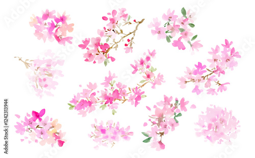  A set of abstract vector cherry blossoms painted in watercolor with a transparent background. A hand-painted cherry blossom clipart set.