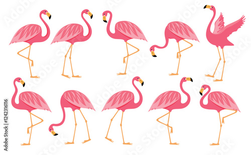 Flamingo pink drawing clipart set. Summer bird flamingo clip art collection cute tropical elements vector illustration. 
