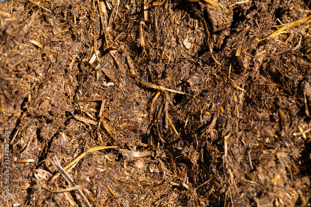 Texture of fiemo, or manure, dry, in an agricultural exploitation of cattle Texture of fiemo, or manure, dry, in an agricultural exploitation of cattle