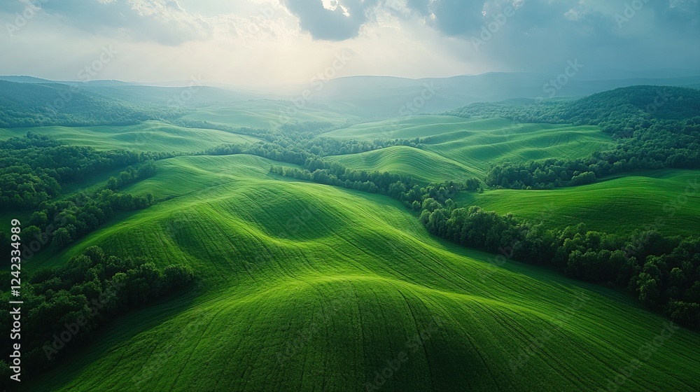 Aerial rolling green hills, sunlit valley, forest edge, idyllic landscape Aerial rolling green hills, sunlit valley, forest edge, idyllic landscape