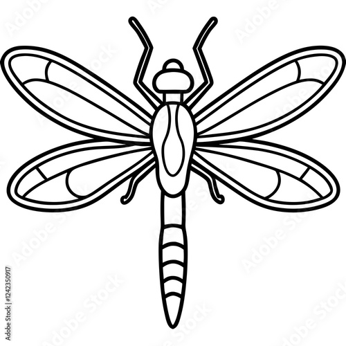 dragonfly on white background