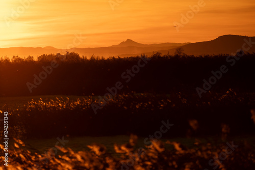 Overlapping shots on a sunset photo