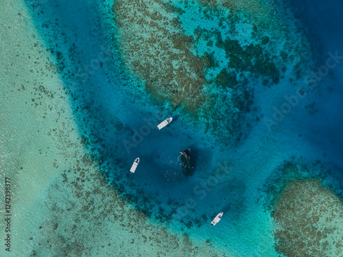 snorkelers around a shipwreck in the Maldives photo