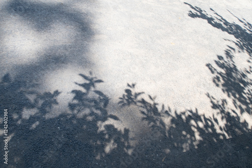 Tree leaves shadow on the ground background photo