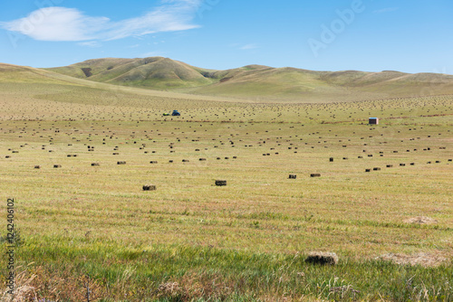 Rolling Hills and Hay Bales Under a Clear Blue Sky photo