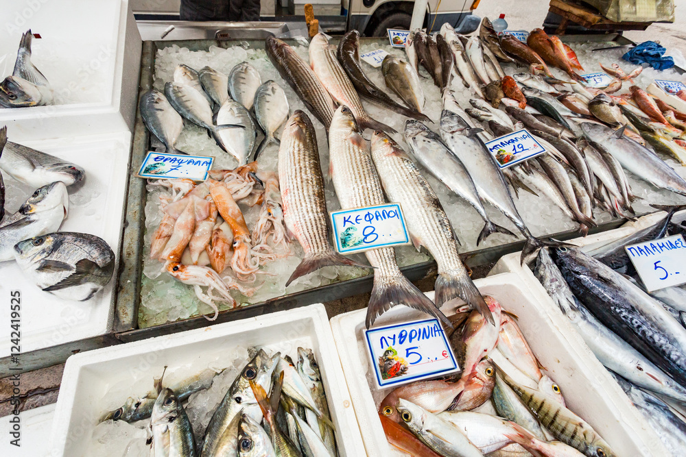 Fish Market Fish Market