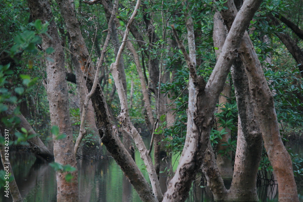 tree in the forest tree in the forest